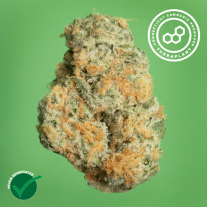 Black Cherry GMO 41278- 21.75% THC