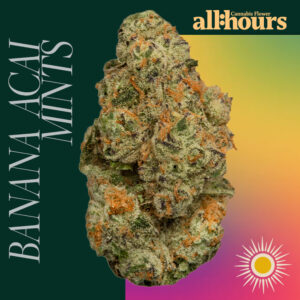 all:hours Banana Acai Mints 41144- 23.63% THC