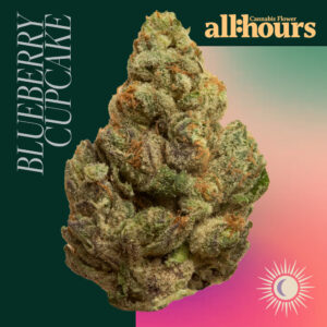 all:hours Blueberry Cup Cke 4861- 23.43% THC