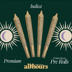 all:hours Hash Burger PR Minis 41165- 22.21% THC