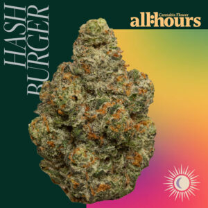 all:hours Hash Burger 41213-24.59% THC