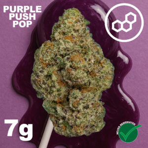 Purple Push P 7g 41168- 21.78% THC